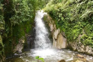 Tambopata – Sandoval Lake 4 days