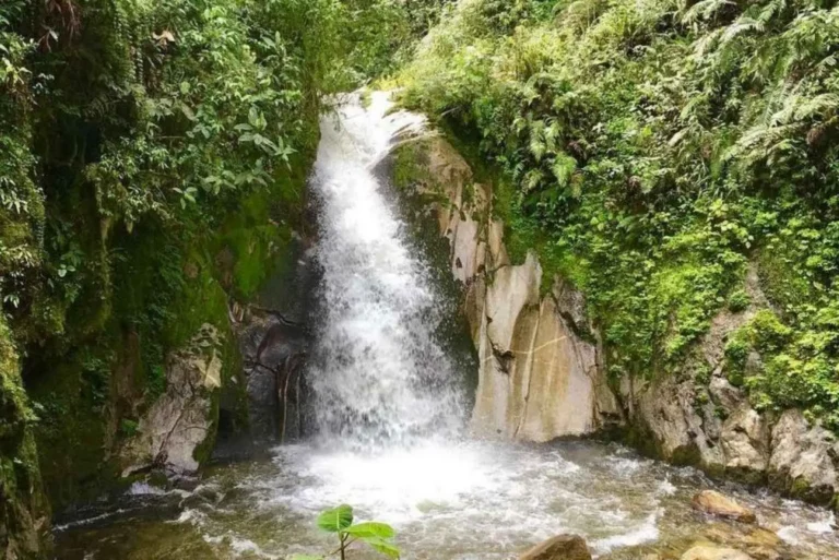Amazon Jungle Waterfall Peru