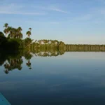Amazon Lagoon Palm Trees Sunset
