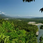 Amazon Rainforest River Aerial View