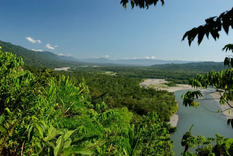 Amazon Rainforest River Aerial View