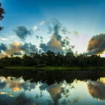 Amazon Rainforest River Sunset Reflection