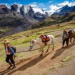 Andean Guides Horses Mountain Trail
