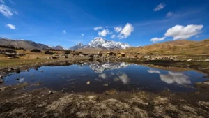Pallay Punchu Mountain Tour