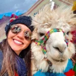 Llama Selfie Tourist Andes Portrait