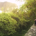 Porter Carrying Loads Inca Jungle Trail