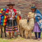 Quechua Women Traditional Dress Llamas Alpaca
