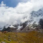 Salkantay Trek Mule Train Clouds